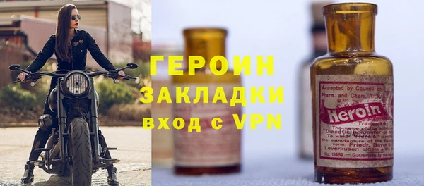 индика Елабуга