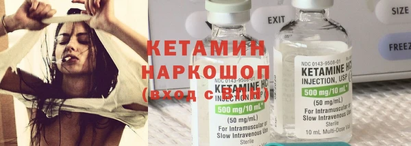 индика Елабуга