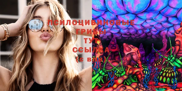 индика Елабуга