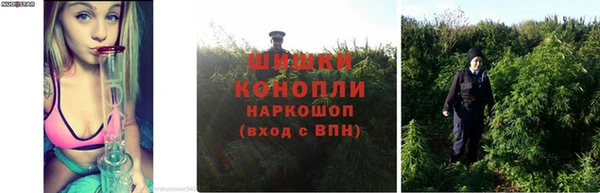 СК Ельня