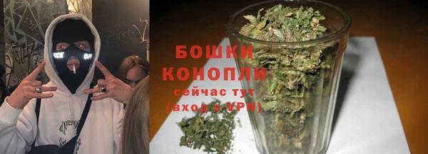 индика Елабуга