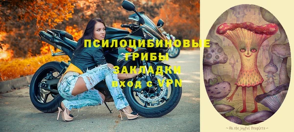 индика Елабуга