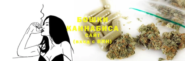 СК Ельня
