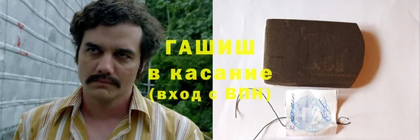 индика Елабуга