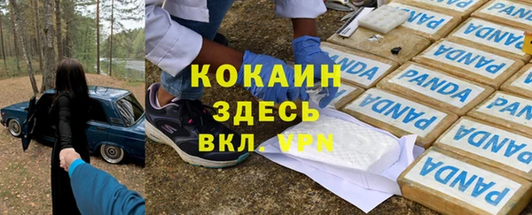 СК Ельня