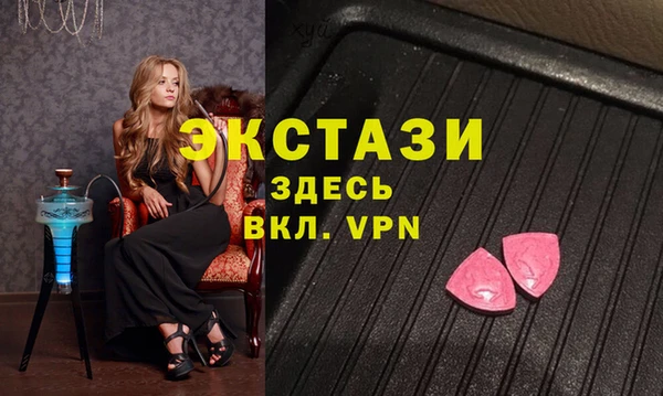 СК Ельня