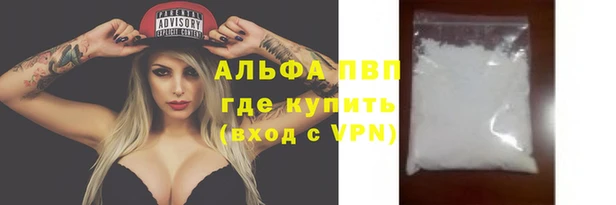 индика Елабуга