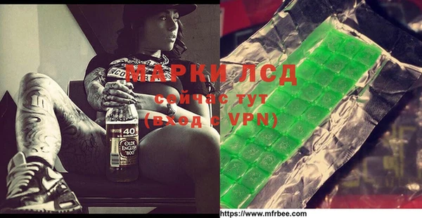 индика Елабуга