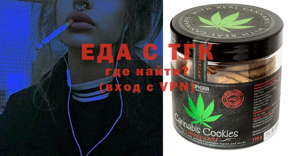 индика Елабуга