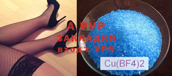 индика Елабуга