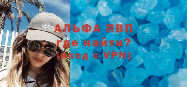 индика Елабуга