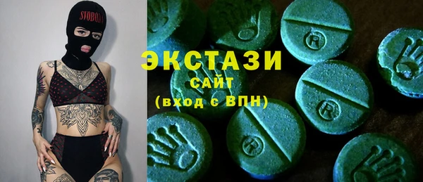 СК Ельня
