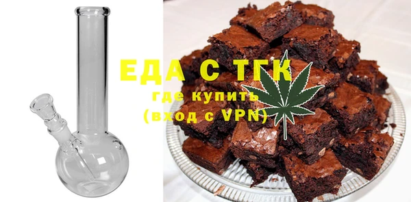 СК Ельня