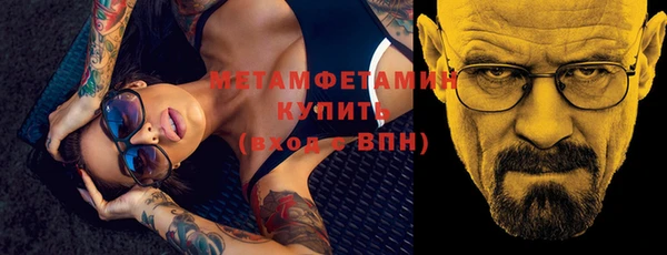 индика Елабуга