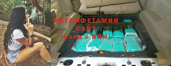 индика Елабуга