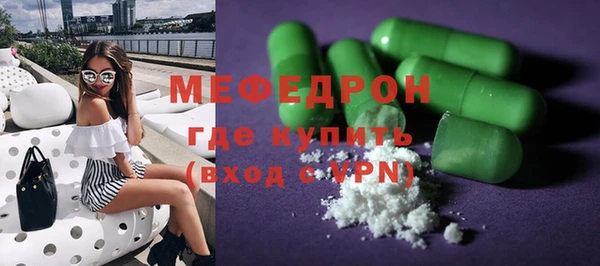 индика Елабуга
