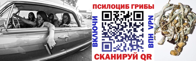 Купить  Югорск  Псилоцибиновые грибы Psilocybe 