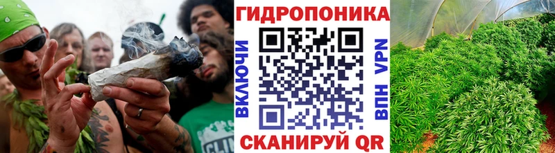 Купить  Югорск  Каннабис Amnesia 